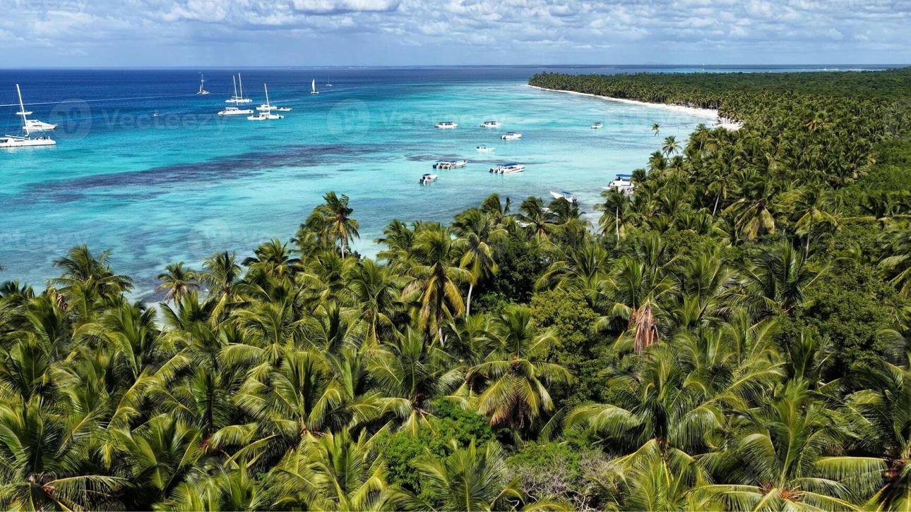 Palm-lined Caribbean coast in the Dominican Republic